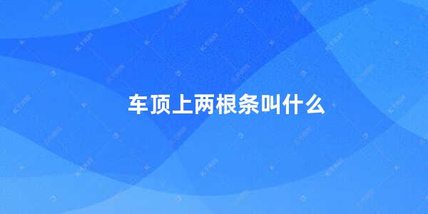 车顶上两根条叫什么