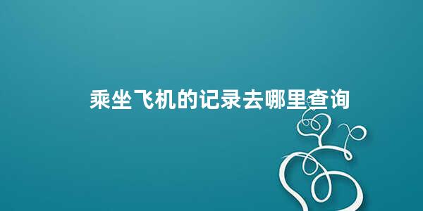 乘坐飞机的记录去哪里查询