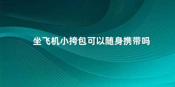 坐飞机小挎包可以随身携带吗