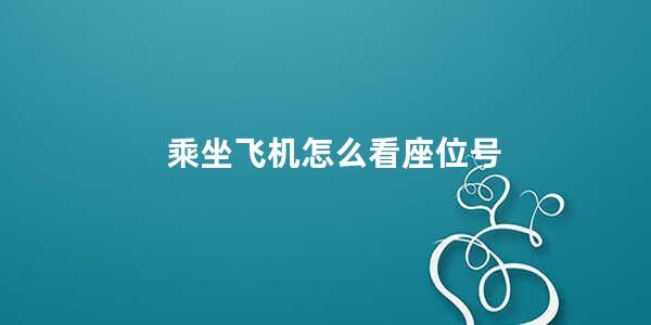 乘坐飞机怎么看座位号