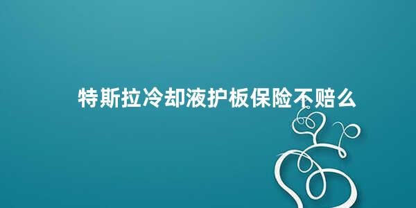 特斯拉冷却液护板保险不赔么