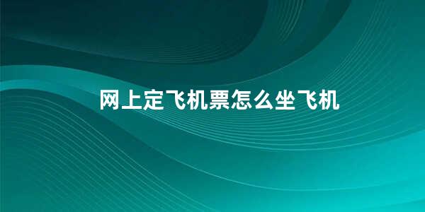 网上定飞机票怎么坐飞机