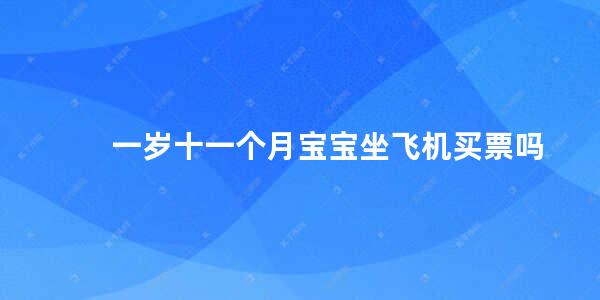 一岁十一个月宝宝坐飞机买票吗