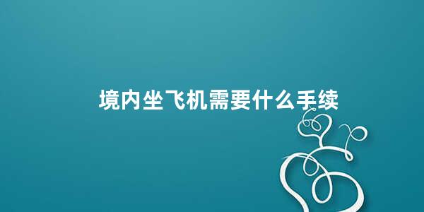 境内坐飞机需要什么手续