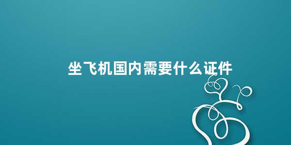 坐飞机国内需要什么证件