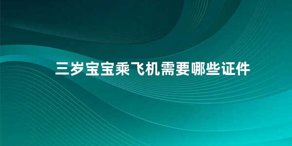 三岁宝宝乘飞机需要哪些证件