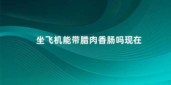 坐飞机能带腊肉香肠吗现在