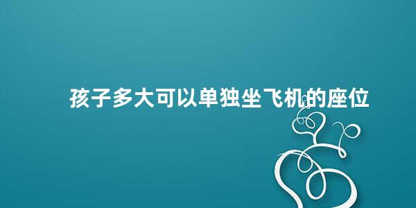 孩子多大可以单独坐飞机的座位