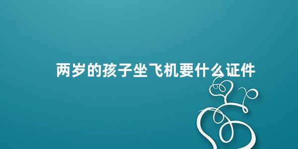 两岁的孩子坐飞机要什么证件