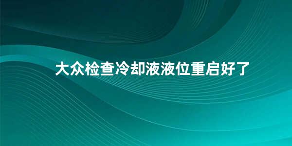 大众检查冷却液液位重启好了