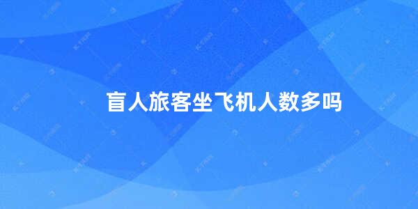 盲人旅客坐飞机人数多吗