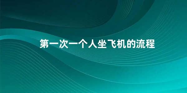 第一次一个人坐飞机的流程