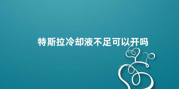 特斯拉冷却液不足可以开吗