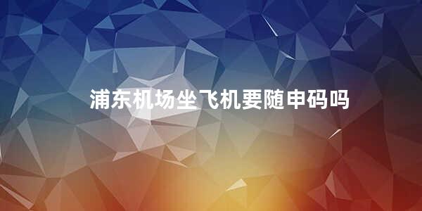 浦东机场坐飞机要随申码吗