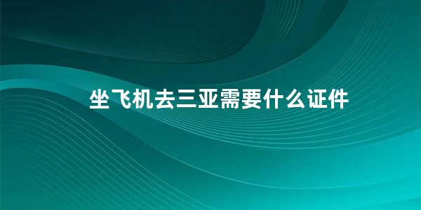 坐飞机去三亚需要什么证件