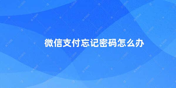 微信支付忘记密码怎么办