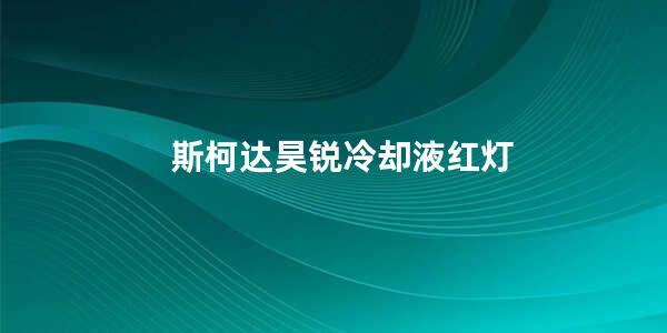 斯柯达昊锐冷却液红灯