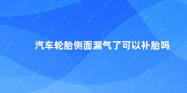 汽车轮胎侧面漏气了可以补胎吗