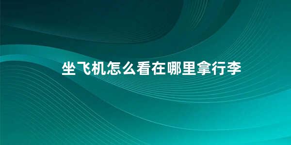 坐飞机怎么看在哪里拿行李