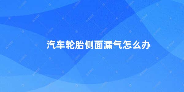 汽车轮胎侧面漏气怎么办