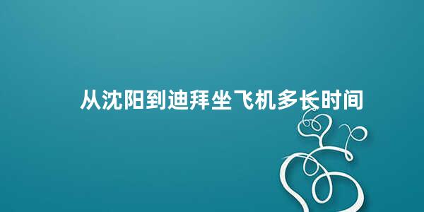 从沈阳到迪拜坐飞机多长时间