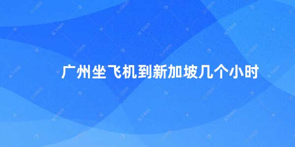 广州坐飞机到新加坡几个小时