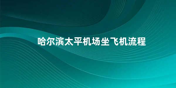 哈尔滨太平机场坐飞机流程