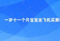 一岁十一个月宝宝坐飞机买票吗(一岁十一个月宝宝乘坐飞机需要注意哪些问题)