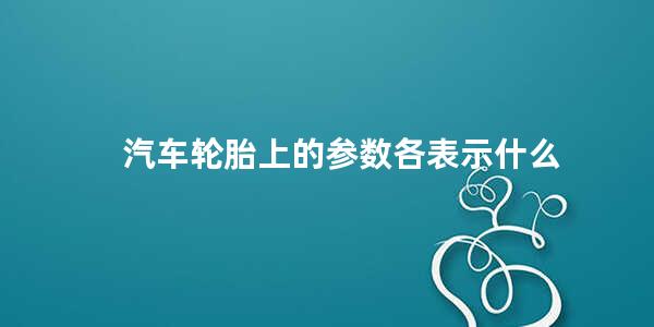 汽车轮胎上的参数各表示什么