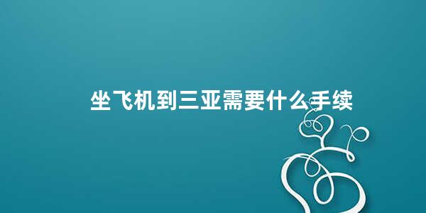 坐飞机到三亚需要什么手续