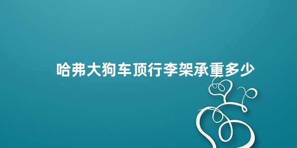 哈弗大狗车顶行李架承重多少