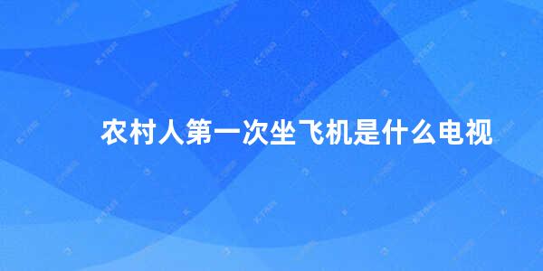 农村人第一次坐飞机是什么电视