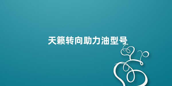 天籁转向助力油型号