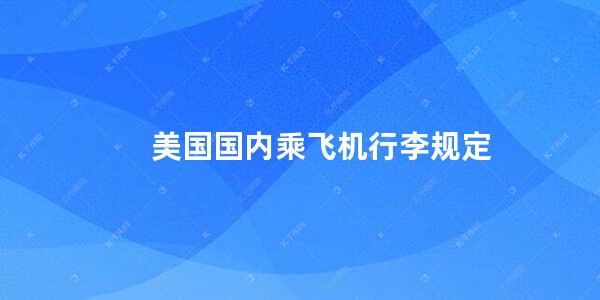 美国国内乘飞机行李规定