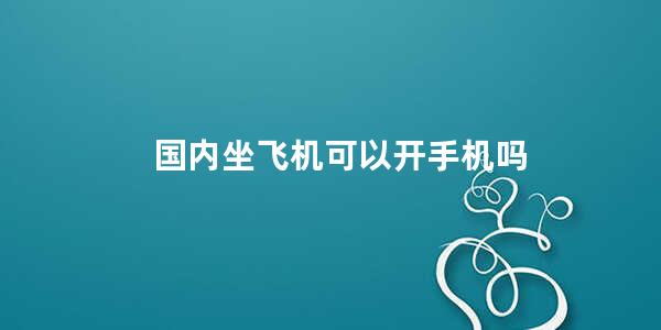 国内坐飞机可以开手机吗