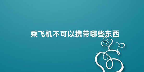 乘飞机不可以携带哪些东西