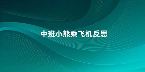 中班小熊乘飞机反思