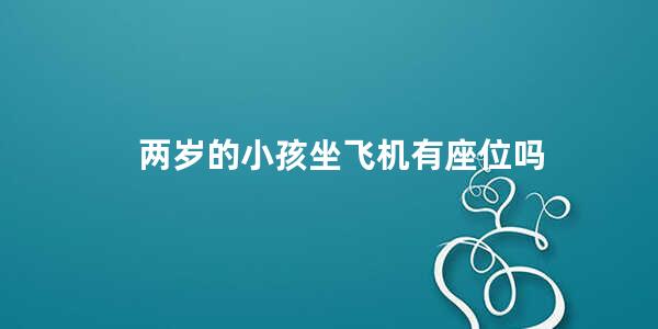 两岁的小孩坐飞机有座位吗