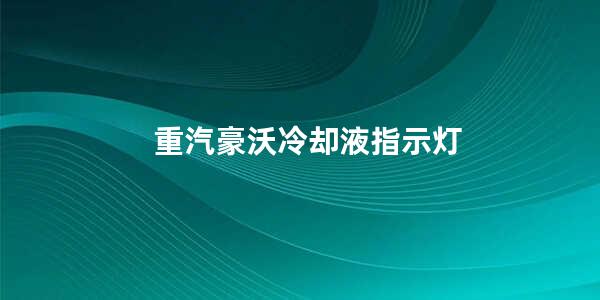 重汽豪沃冷却液指示灯