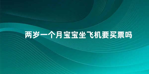 两岁一个月宝宝坐飞机要买票吗