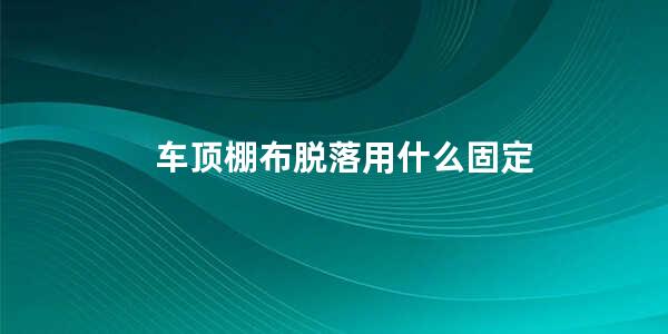 车顶棚布脱落用什么固定