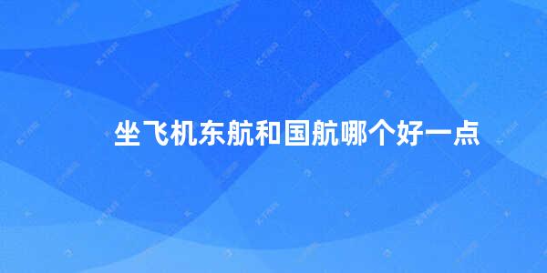 坐飞机东航和国航哪个好一点