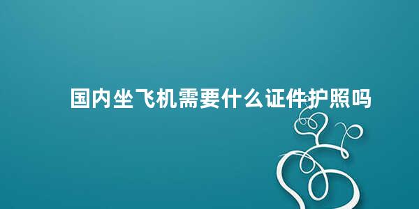 国内坐飞机需要什么证件护照吗