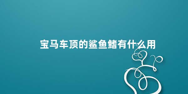 宝马车顶的鲨鱼鳍有什么用