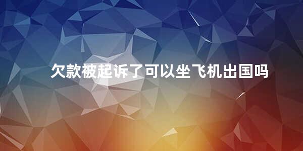 欠款被起诉了可以坐飞机出国吗