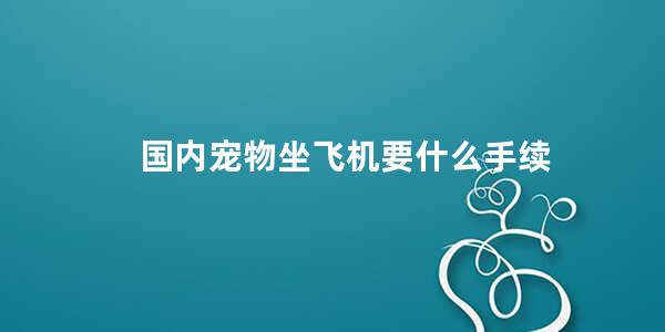 国内宠物坐飞机要什么手续