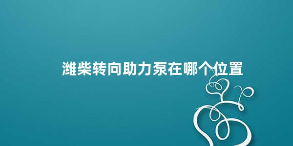 潍柴转向助力泵在哪个位置