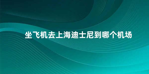 坐飞机去上海迪士尼到哪个机场