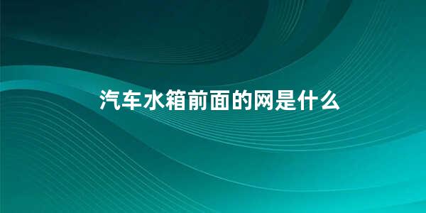 汽车水箱前面的网是什么