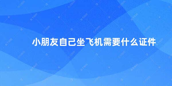 小朋友自己坐飞机需要什么证件